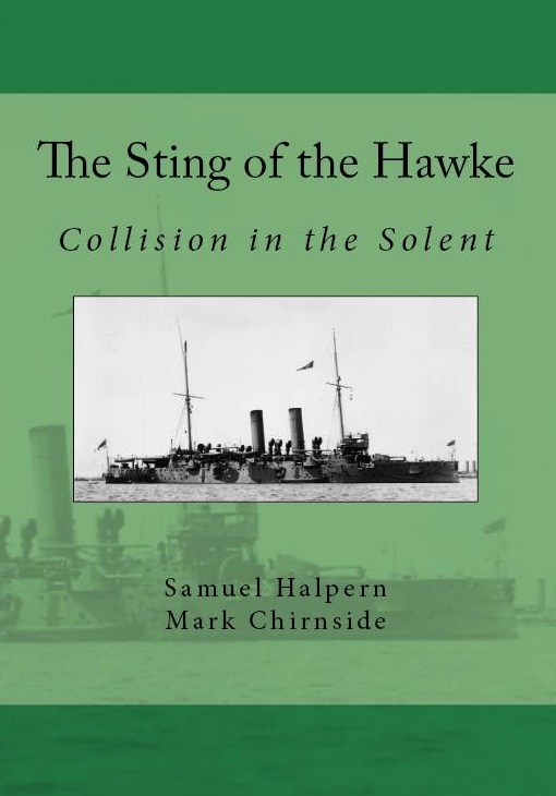 The Sting of the Hawke book cover.